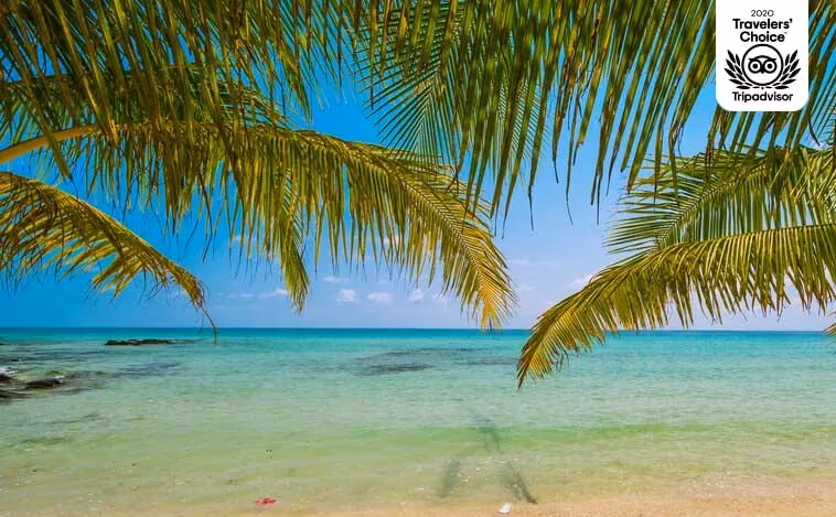 Shuttle from Cancun to Mérida, safe and reliable