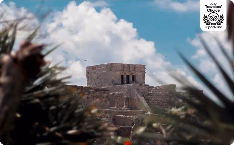 Safe and reliable transportation from Cancun to Tulum